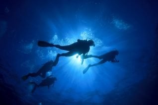 Best Diving in South of France For Every Skill Level & Interest