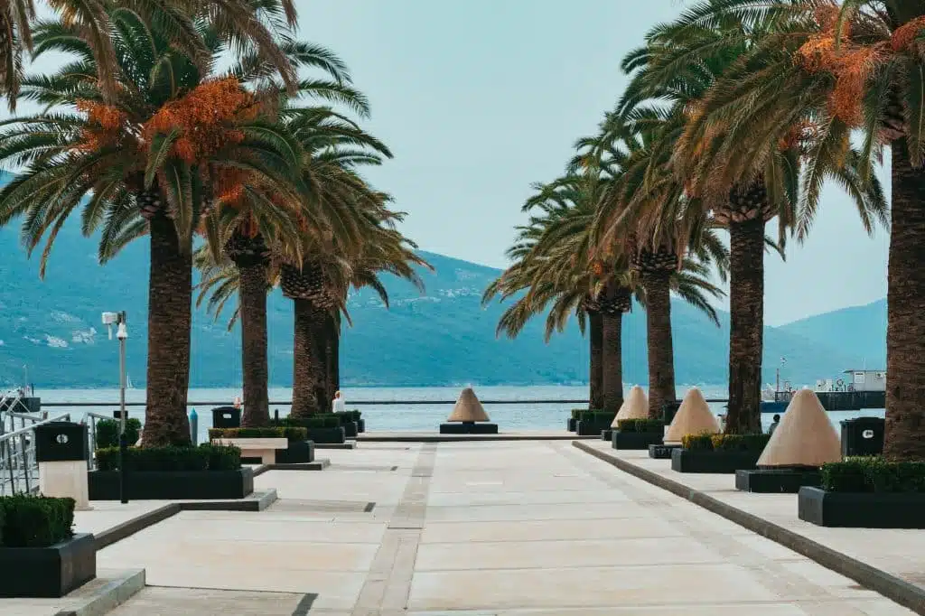 Porto-Montenegro-Marina-Montenegro-Yacht-Rental-Silver-Star